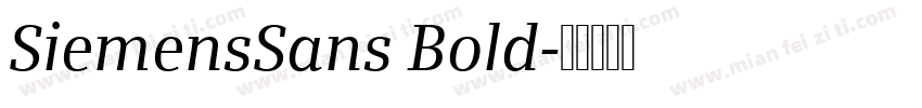 SiemensSans Bold字体转换